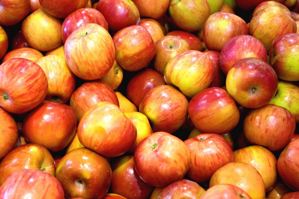 variété pommes